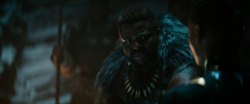 Black Panther: Wakanda Forever (2022) 1080p BluRay x264 ESubs ORG [Dual Audio] [Hindi Or English] [2.7GB] Full Hollywood Movie Hindi